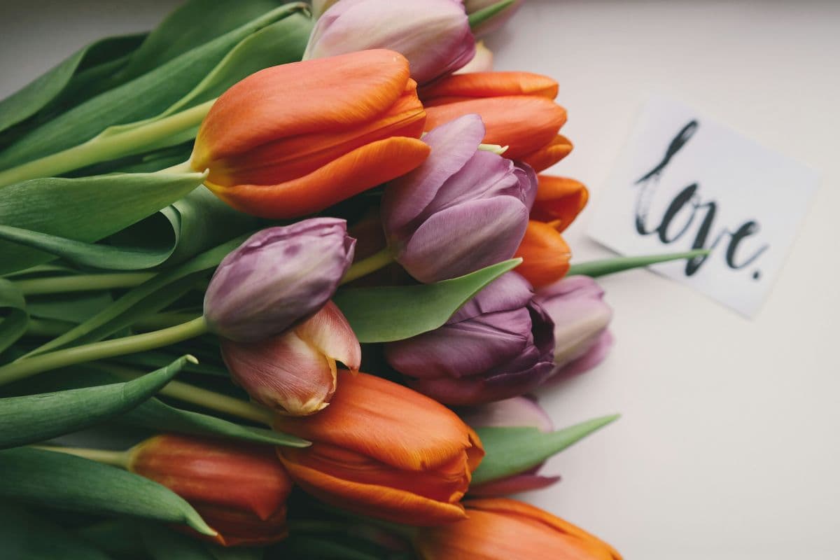 Weekly Love Horoscope 2025 (Sep 29–Oct 5): Shocking twists your zodiac needs to know